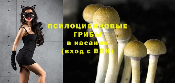 стафф Волоколамск