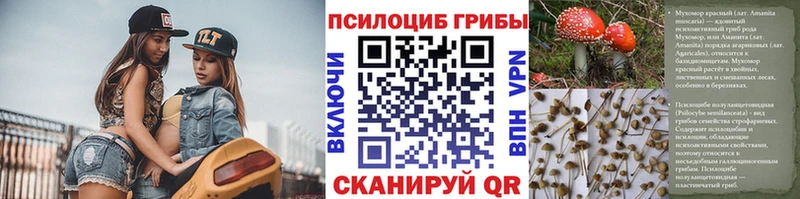 наркотики  Завитинск  МЕГА рабочий сайт  Галлюциногенные грибы Cubensis 